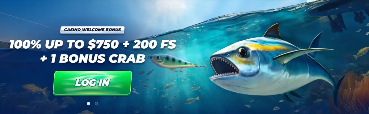 BassBet Casino Bonus