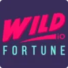 Wild Fortune Casino