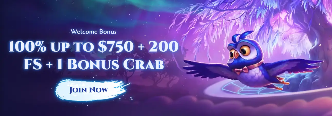 SpiNight Casino Bonus
